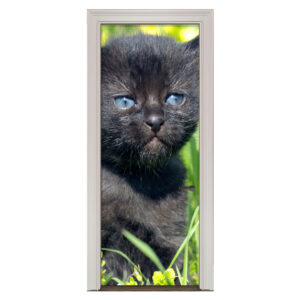 76.jpg Adesivo de Porta Gato Cod.76