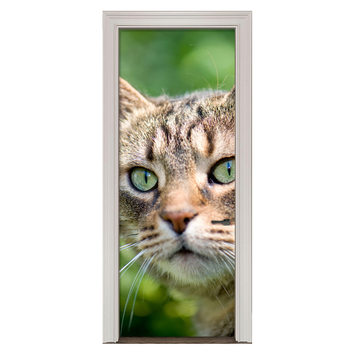 Adesivo de Porta Gato Cod.77