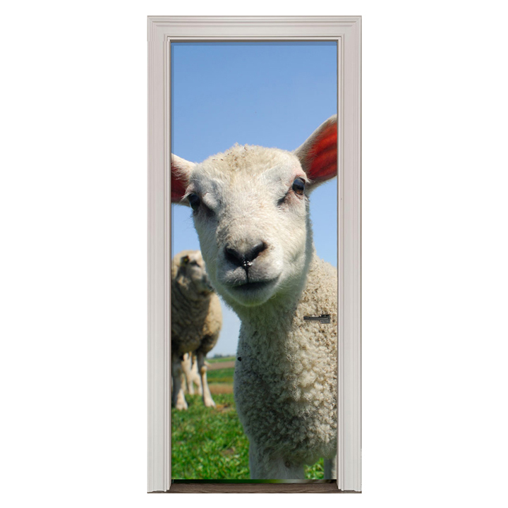 Adesivo de Porta Ovelha Cod.78