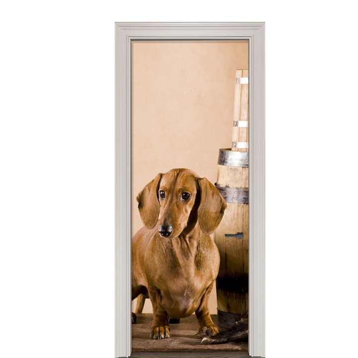 Adesivo de Porta Cachorro Salsicha