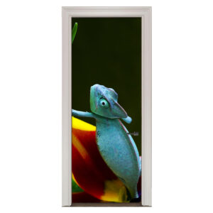 Adesivo de Porta Camaleão