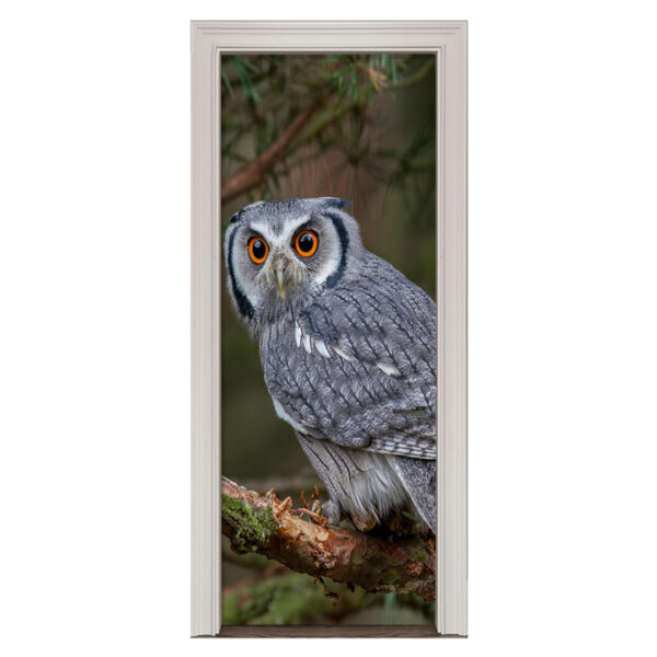 86.jpg Adesivo de Porta Coruja Cod.86