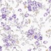 Floral-198.jpg Papel de Parede Floral