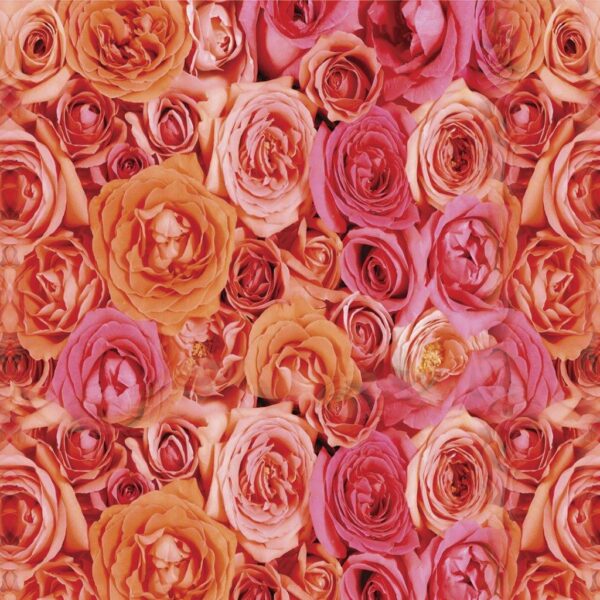 Floral-31.jpg Papel de Parede Floral