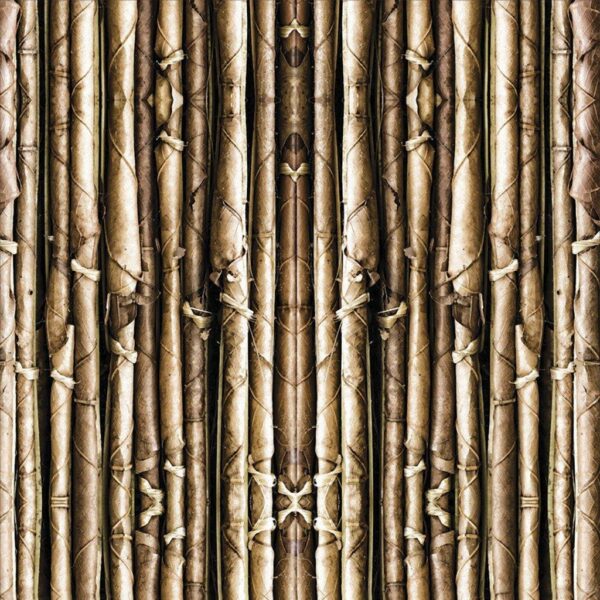 Textura-34.jpg Papel de Parede Textura Cerca de Bambu